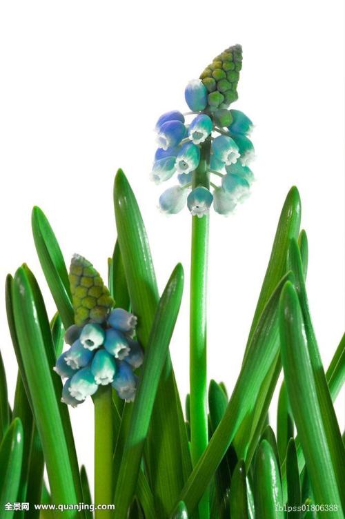 ƶ|ɽ׵طƶǨƶ˿ȫȶƶ